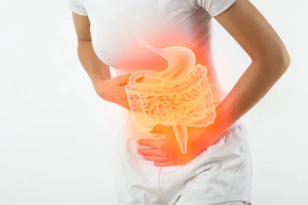Best Probiotics to Prevent Bali Belly: A Traveler's Guide